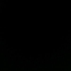 Meet your Posher, Logan